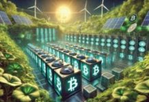 Leading Countries in Cryptocurrency Mining: China, United States, and the New Global Energy Balance