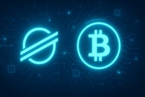 stellar-solv-foundation-300x200-1